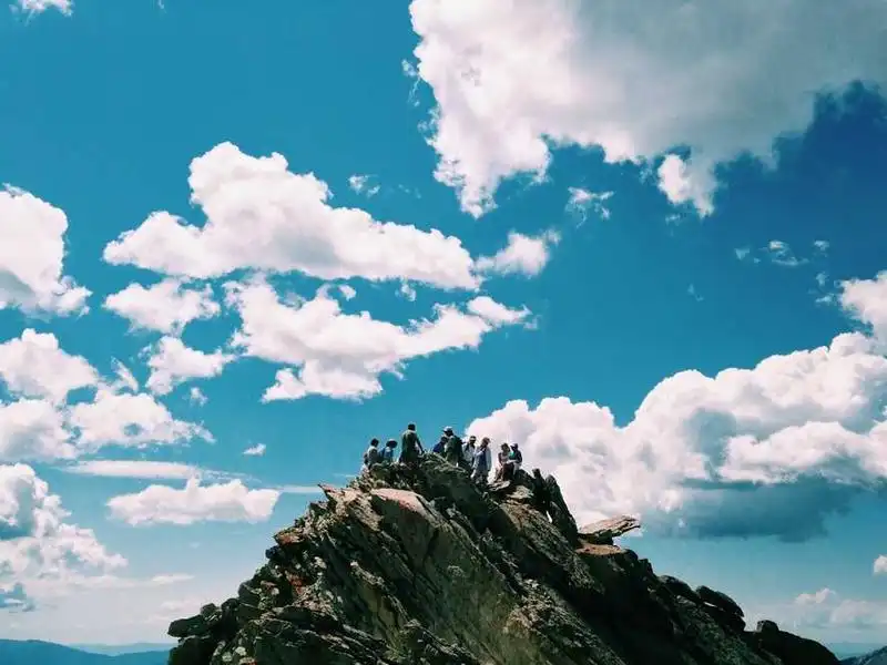 Collection de jades sculptés et bronzes rituels chinois