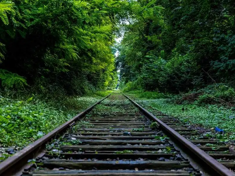Vases en porcelaine bleu et blanc, dynastie Ming